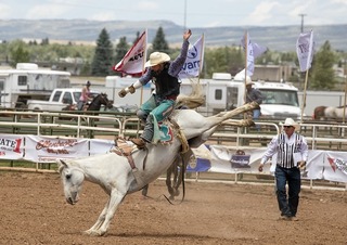cowboys-1248620_960_720.jpg