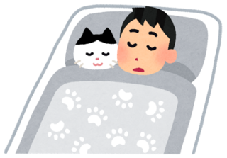 pet_neko_sleep.png